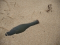 Sable-Island-PatriciaCalder-19
