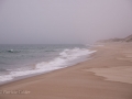 Sable-Island-PatriciaCalder-26