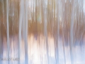 © PatriciaCalder (7 of 8)