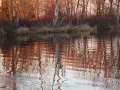 Seasons-PatriciaCalder-2014-09