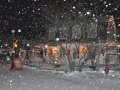 Seasons-PatriciaCalder-2014-28