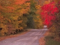 Seasons-PatriciaCalder-2014-36
