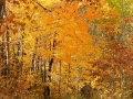 Seasons-PatriciaCalder-2014-38