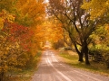 Seasons-PatriciaCalder-2014-39