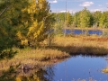Seasons-PatriciaCalder-2014-53
