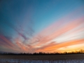 ©-PatriciaCalder-1-of-1-3-Copy