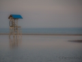 ©-PatriciaCalder-1-of-2-8