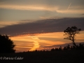 ©-PatriciaCalder-1-of-3-4