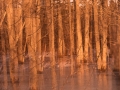 ©-PatriciaCalder-2-of-6-3