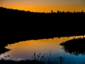 ©-PatriciaCalder-6-of-8